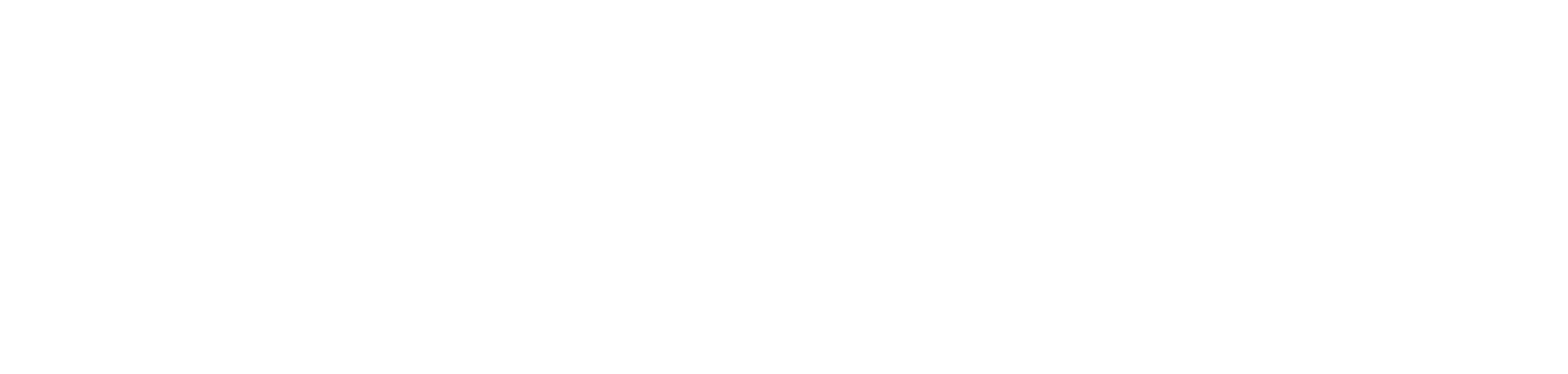 Thermomatic Logo